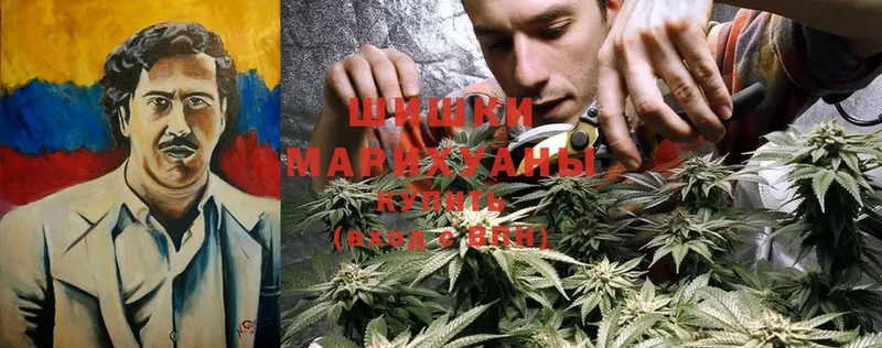 купить наркоту  Дятьково  Канабис LSD WEED 